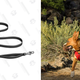 RUFFWEAR Flat Out Leash | $22 | Amazon